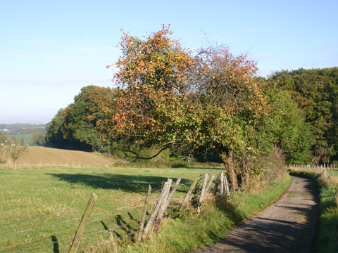 Neanderlandsteig Haan - Wuppertal