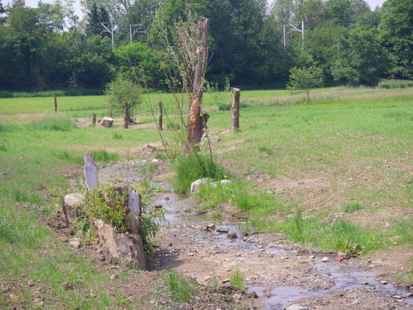Bachlauf