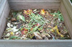 Bild vergrößern: Biologischer Abfall in einem Komposter.