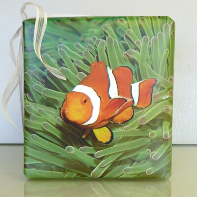 Bild vergrößern: Ein mit einem Kalenderblatt verpacktes Geschenk mit dem Motiv eines  Goldfisches schwimmend inmitten von Meeresalgen.
