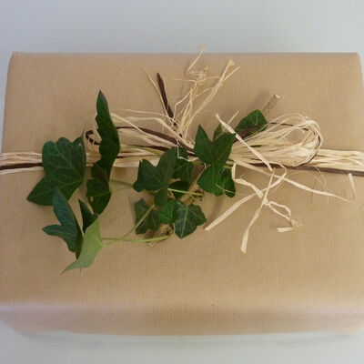 Bild vergrößern: Geschenk verpackt mit braunem Recyclingpapier und mit einer aus Naturbast gebundener Schleife mit einer Ranke Efeu.