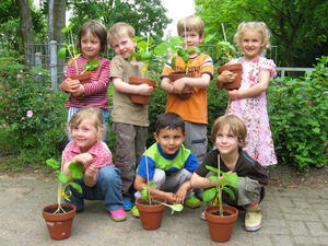 Bild vergrößern: Eine Gruppe von kleinen Kindern zeigen ihre Topfpflanzen.