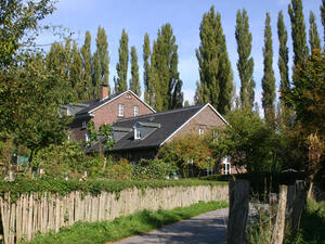 Bild vergrößern: Ein Haus umgeben von Bäumen.