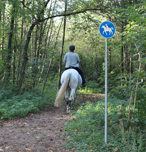 Bild vergrößern: Blaues Verkehrsschild mit einem Reitenden auf einem Pferd steht an einem Reitweg.