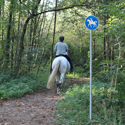 Bild vergrößern: Blaues Verkehrsschild mit einem Reitenden auf einem Pferd steht an einem Reitweg.