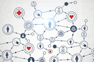 Bild vergrößern: Netzwerk Gesundheit