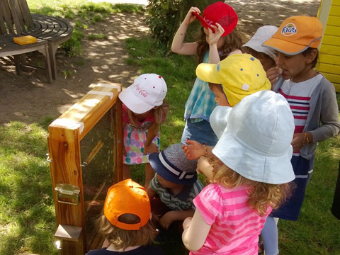Besuch bei der Waldpädagogin - Vorschulklasse erfährt etwas über Bienenvölker und Honigherstellung