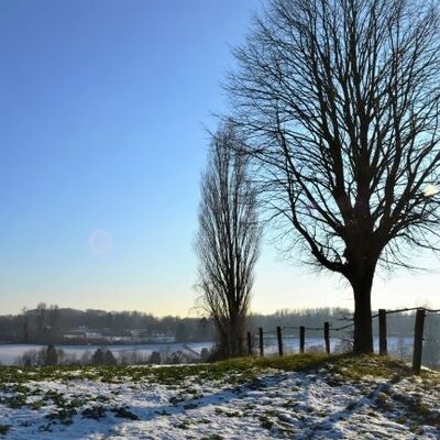 Bild vergrößern: Wintersonne im neanderland_c_Kreis Mettmann - Kopie