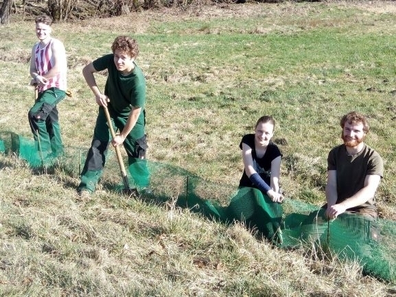 Bild vergrößern: Finn, Lukas, Valeria und Kreismitarbeiter Frank Wirth beim Krtenzaunaufbau in Langenberg