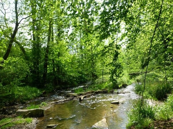 Bild vergrößern: Naturschutzgebiet Ittertal