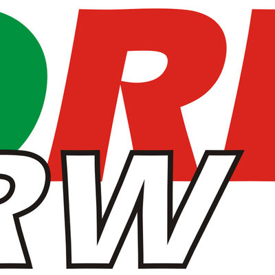 Bild vergrößern: Logo mit dem Schriftzug "BORISplus.NRW".