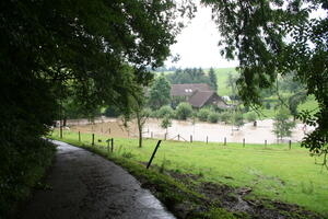 Bild vergrößern: Überschwemmte Weide einer Hofschaft.