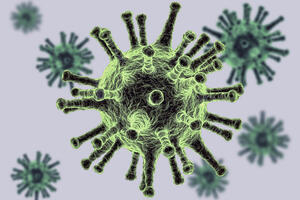 Bild vergrößern: Mehrere Virusmoleküle schweben verteilt in der Luft.