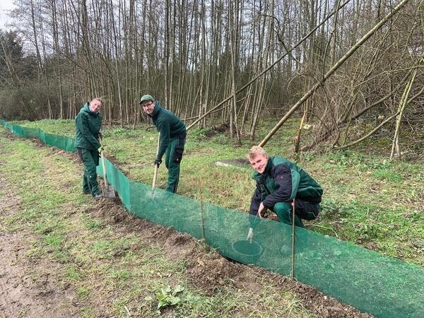 Bild vergrößern: Leonie, Luca und Mark beim Aufbau eines Amphibienschutzzaunes