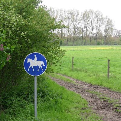 Bild vergrößern: Blaues Verkehrsschild mit Pferd und Reitendem steht an einem Feldweg.