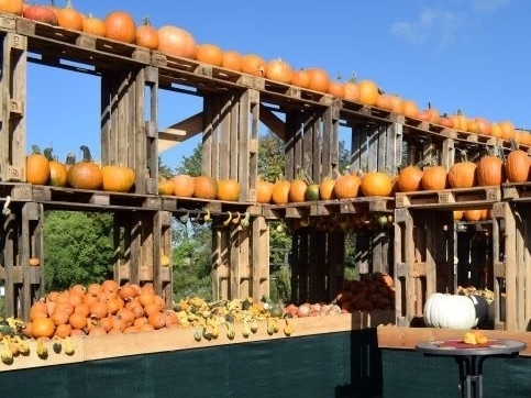 Bild vergrößern: 2020_Bauerngarten Benninghoven_c_Kreis Mettmann (1)