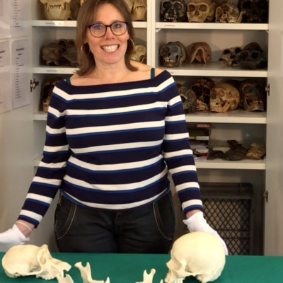 Bild vergrößern: Humanfossilien Workshop NM