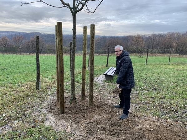 Bild vergrößern: Landrat Thomas Hendele neben dem Walnussbaum