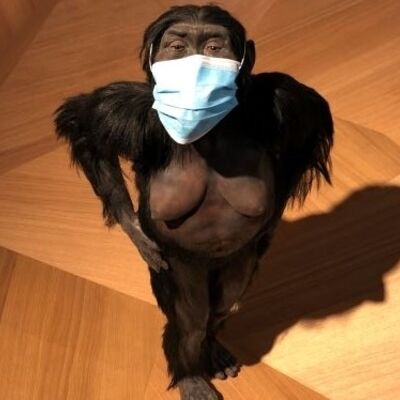 Bild vergrößern: Lucy mit Maske
