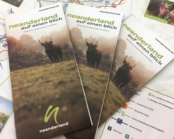 Bild vergrößern: Der Flyer