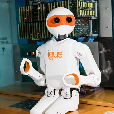 Bild vergrößern: Roboter Igus, Heinz Nixdorf MuseumsForum