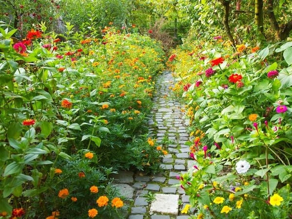 Bild vergrößern: Offene Gartenpforte 2022
