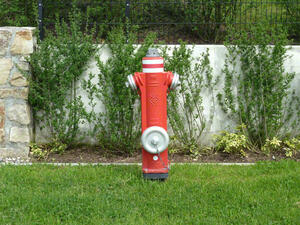 Bild vergrößern: Roter Hydrant auf einer grünen Wiese.