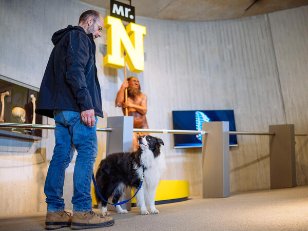 DoggyDay und DoggyTour