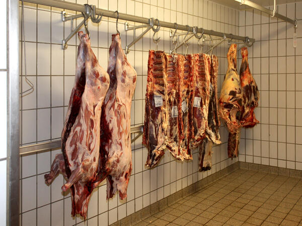 Bild vergrößern: Geschlachtete Schweine hngen an Fleischerhaken in einem Schlachtraum.