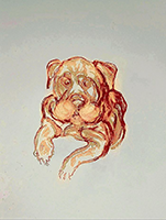 Bild vergr&ouml;&szlig;ern: Ulla Clemens