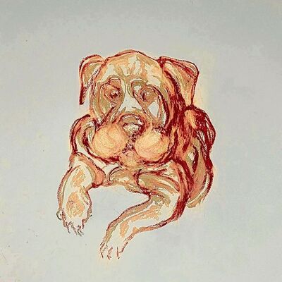 Bild vergr&ouml;&szlig;ern: Ulla Clemens