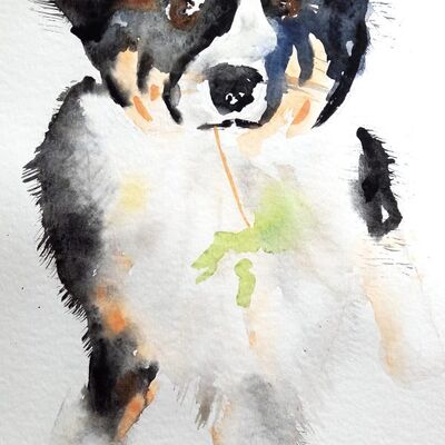 Bild vergr&ouml;&szlig;ern: Martina Strahl