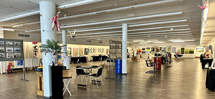 Bild vergr&ouml;&szlig;ern: Lothar Kniep