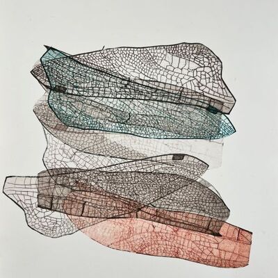 Bild vergr&ouml;&szlig;ern: Renate Hunstock