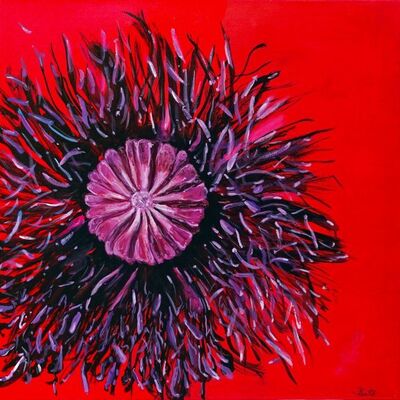 Bild vergr&ouml;&szlig;ern: Ingrid Gutzschebauch