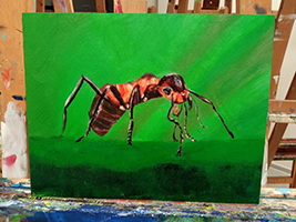 Bild vergr&ouml;&szlig;ern: Anna Stadler