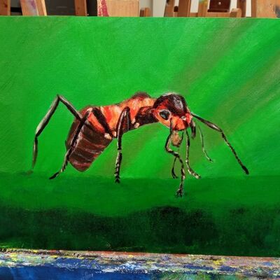 Bild vergr&ouml;&szlig;ern: Anna Stadler