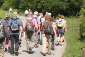 Bild vergr&ouml;&szlig;ern: Eine Gruppe unterschiedlichen Alters - viele mit Rucksack - wandern entlang einer Wiese.